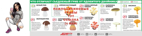 ПСИЛОЦИБИНОВЫЕ ГРИБЫ Алзамай