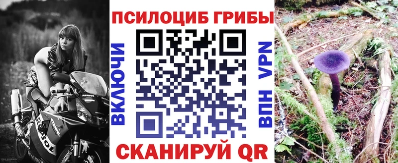 Галлюциногенные грибы мицелий  Санкт-Петербург 